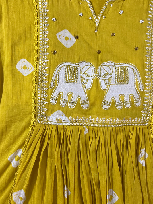 Yellow embroidered umbrella suit set